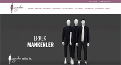 Desktop Screenshot of cagmanken.com